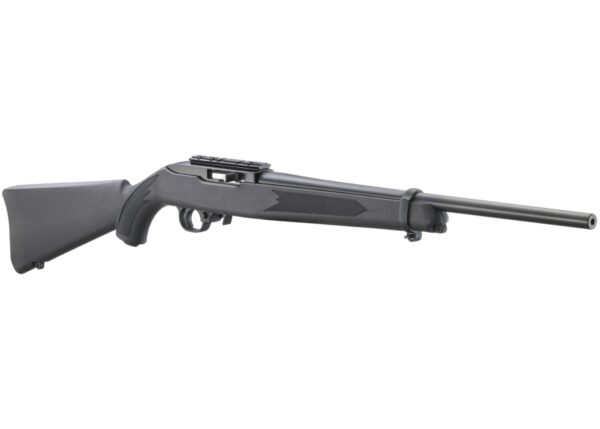 Ruger 10/22 Carbine